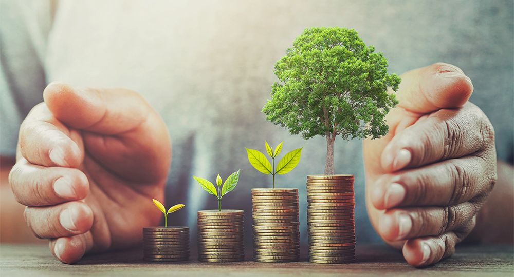 AdobeStock_276454828