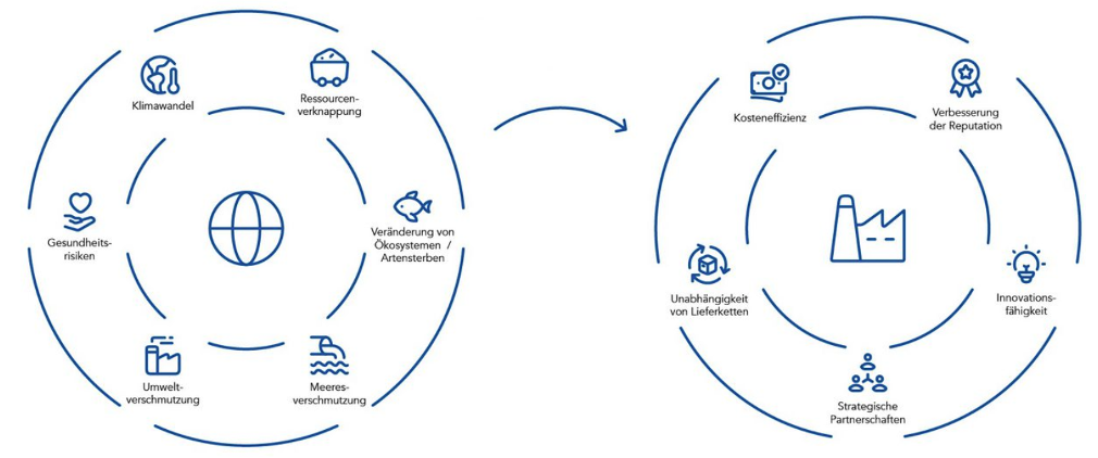 Bild HTAI Circular economy
